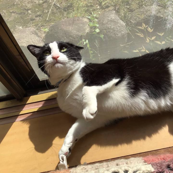 4f737c81 e529 499b b1c7 d6f0f8ddd9b6 1681190772538