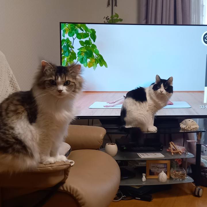 4f73a16d b54a 4a78 ab61 f91a9f6db5a8 1677191799232