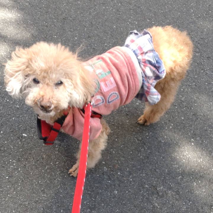 4f73b2f3 166a 454d b1dc e4c1b4abb00c 1678511902655