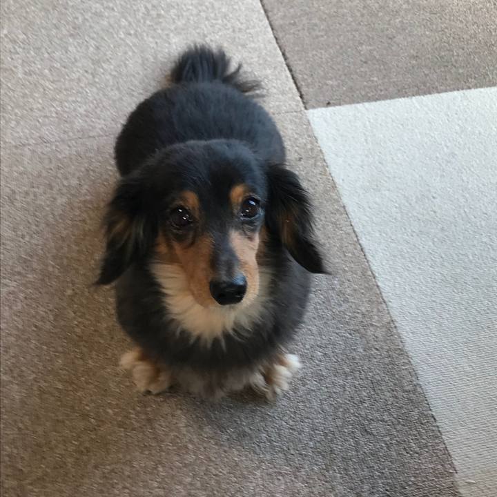 4f73bf5d 74ee 433c 8763 4362d5a31e39 1523750706346