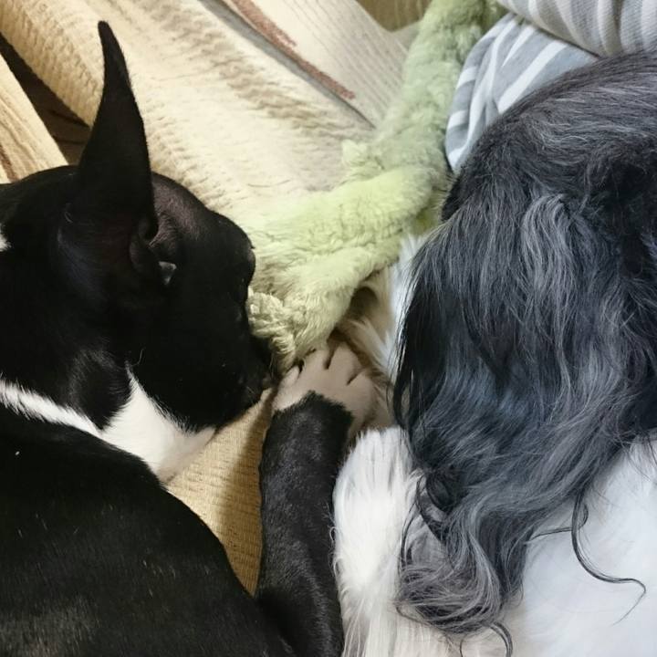 4f73c08f f3ea 4896 a32d 1a35e45d4cdd 1515856747817