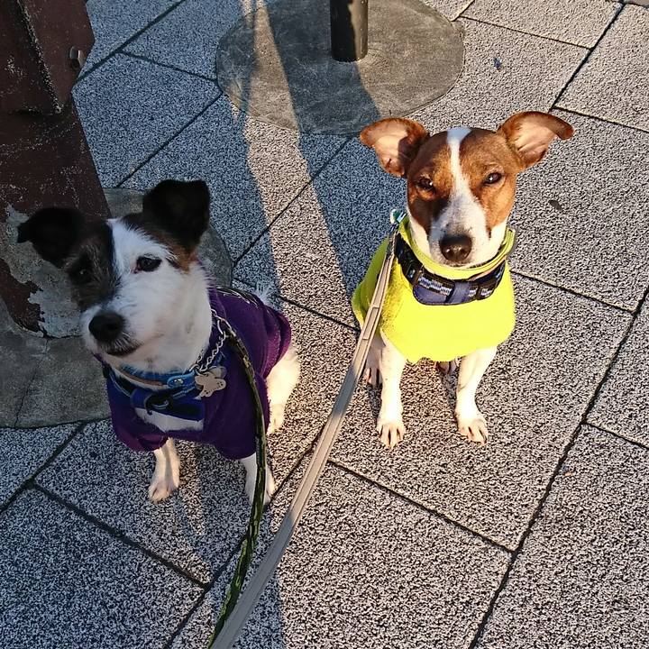 4f73dd37 8a8f 44aa 90d5 5111f32c6027 1552600664408