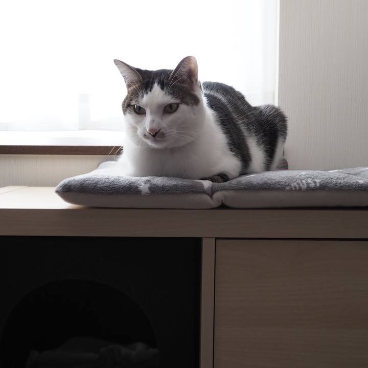 4f7432d1 9f7d 460e bf26 f993847355a0 1542238399507