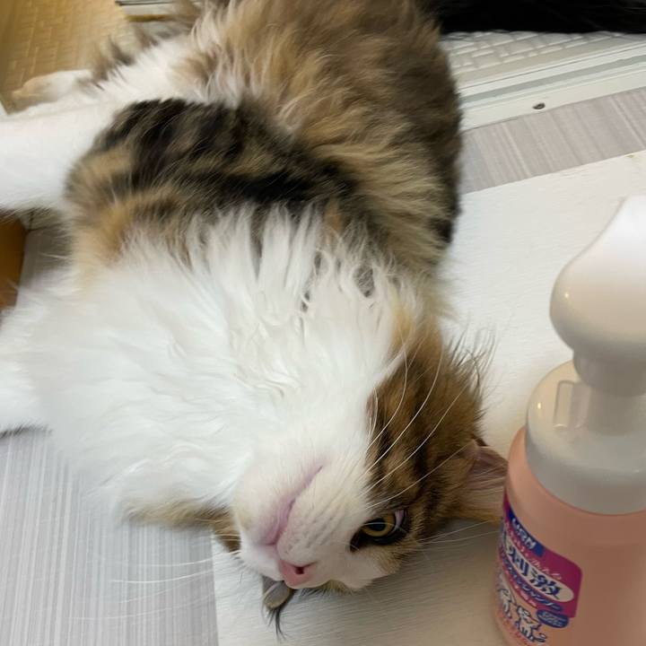 4f748acf ac3b 4bc8 9523 b94ec21cb626 1640166230757