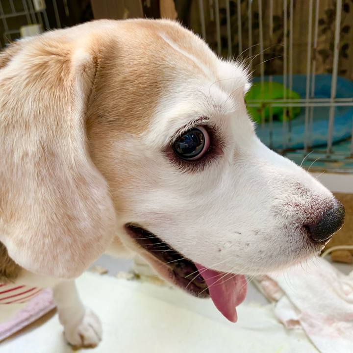 4f749710 28ea 4802 960a 186f962571aa 1630040254213