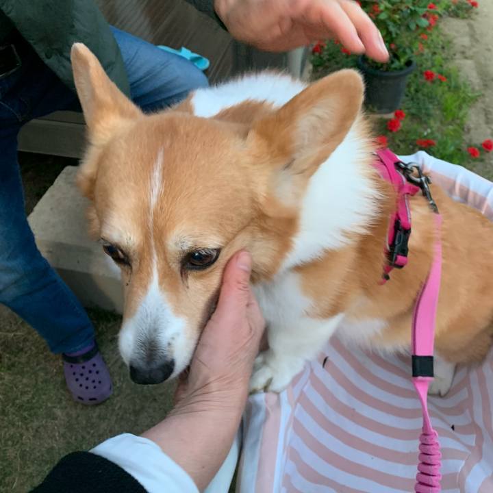 4f74ba07 bc7b 4379 9887 168fd839cf4e 1681034339282