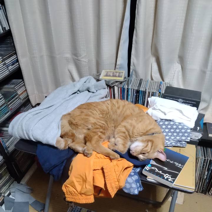 4f751265 6bae 41a1 a6a7 2f931fa37a0c 1716467864153