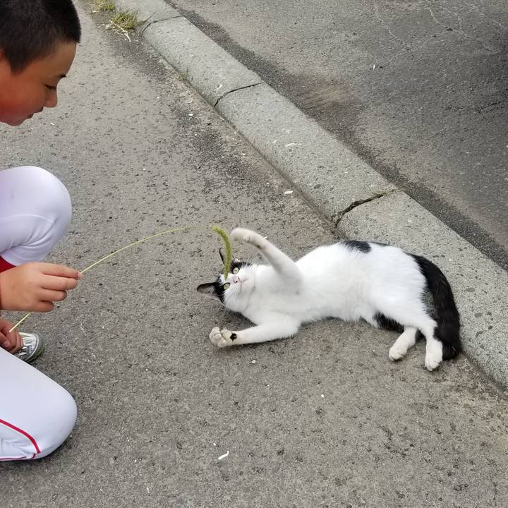 4f7545de 7527 4457 bd9c a79f34f6e422 1568636966922