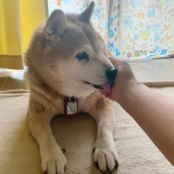 4f756997 1f90 4329 9db2 b1d78bf361c2 1600645523111