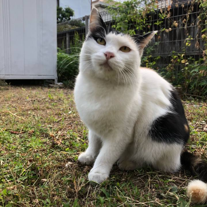 4f756aa5 35e3 4f0a 8a4a dcba4e43aba0 1602799809460