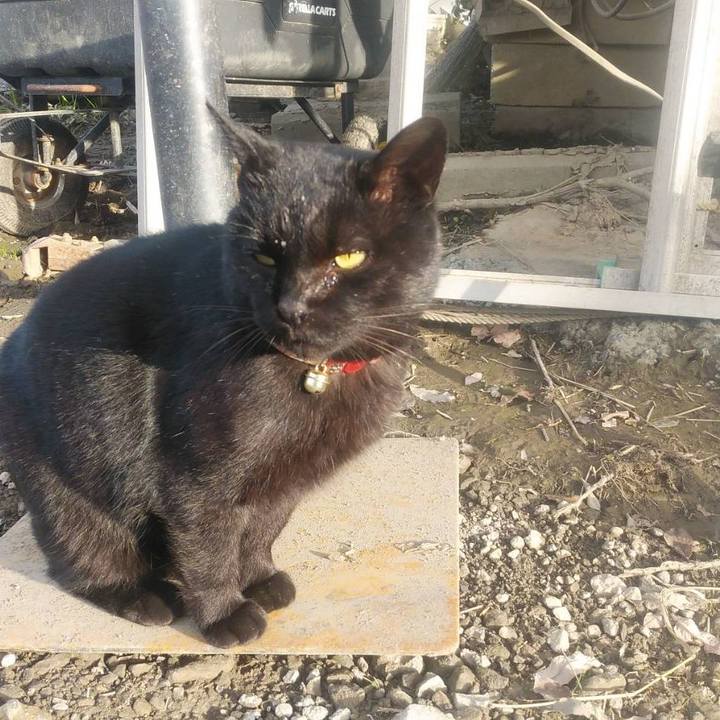 4f7571e3 5dca 42af b2a3 89b1c8f95b6a 1575589384874