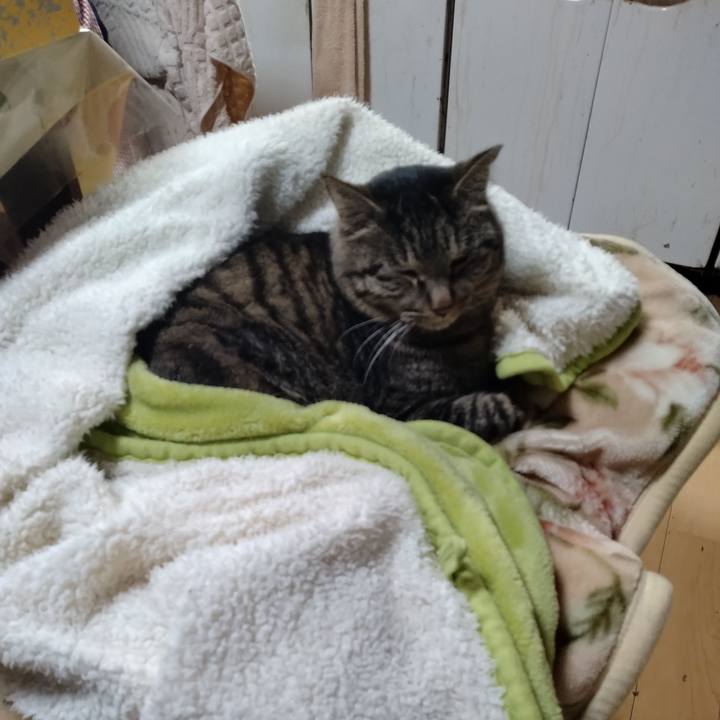 4f7591c5 f562 44fe 8896 98a7b592077d 1674823131998