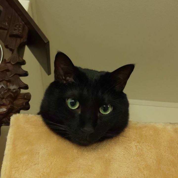 4f759dd1 c22c 463e ab74 1d9300735c73 1660735403058