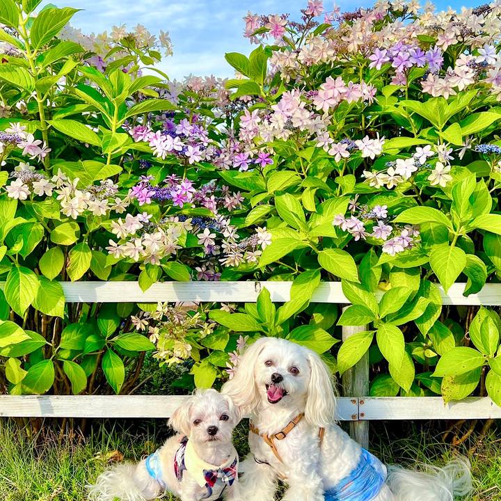 4f75aef6 a44a 4a21 8576 e6ecca00890c 1688450629853