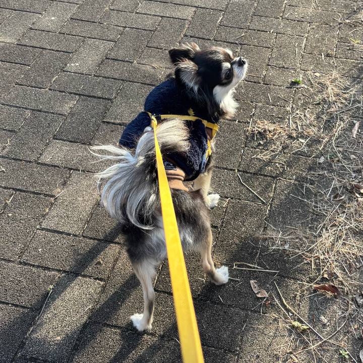 4f75bf36 ecb5 4ebf 8642 01dd75f61b85 1734799058759