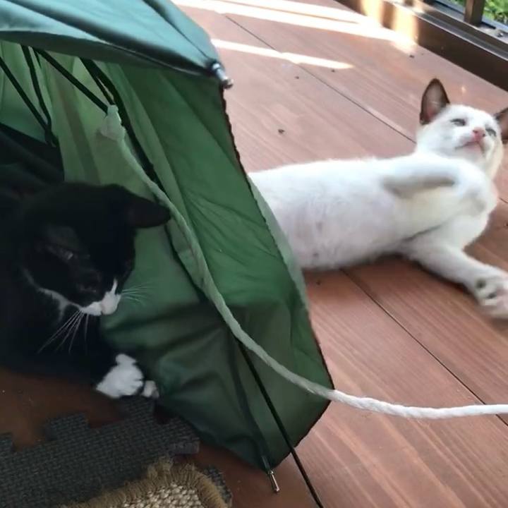 4f75da5c 847c 4c38 91af 846a0b006b4e 1729020029576