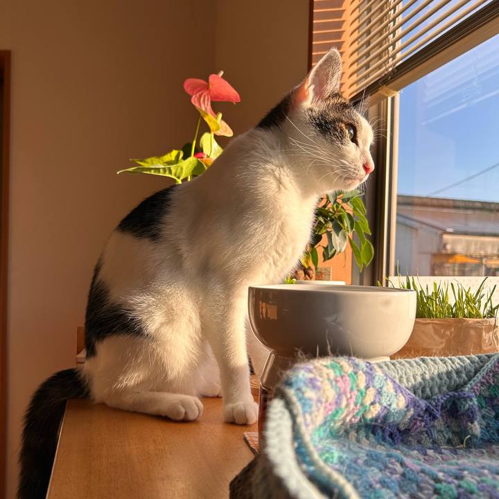 4f7602a5 8910 42e9 ab91 fbe9a912f176 1722288219170