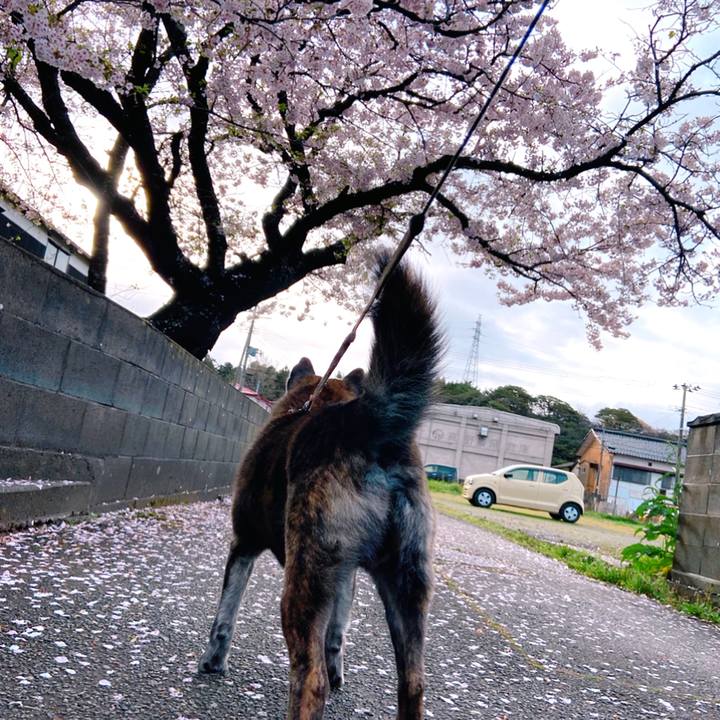 4f7609d7 3506 49b6 b6af cbc9c0b1db1a 1587247602031