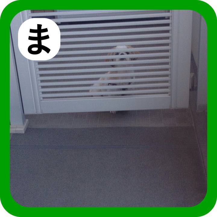 4f761624 5bac 42c7 8fb9 1a5fee84776e 1515189243486