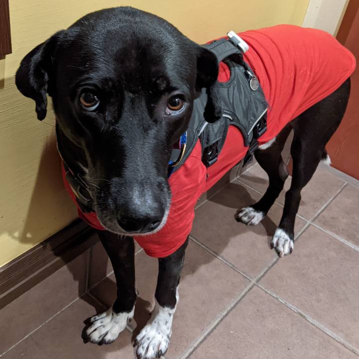 4f76294a 4120 4016 be7a 9b6a7d289fcf 1639738466908