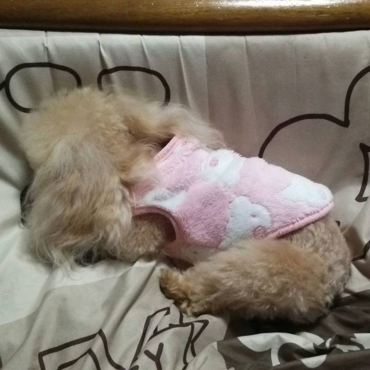 4f76644c 01ba 483b 8b3a bbe1ca05c16a 1551013730282