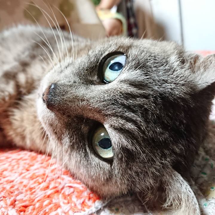 4f7673d8 ba6a 4425 8ab1 160d7dd4f67d 1565260100439