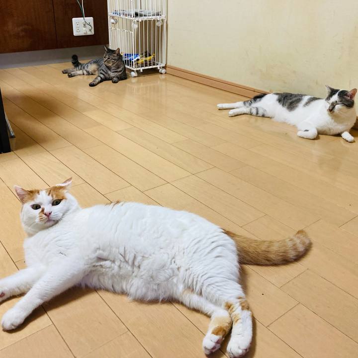 4f767596 804b 4b03 822c 31d3886d7b42 1627291640171