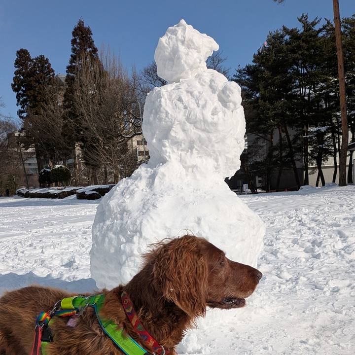 4f76c8d5 662b 4bfe 9bfd 44102134bc29 1768731214634