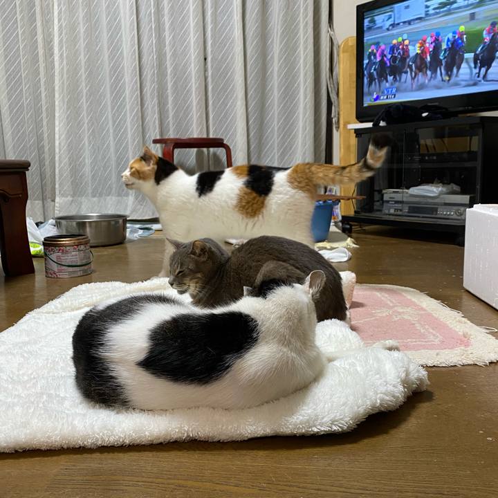 4f76c95e 1a96 475d 8ebf 02934c43e2fd 1629372865186