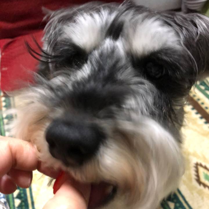 4f76e397 0a96 4120 b690 8475a3c807da 1652368647715