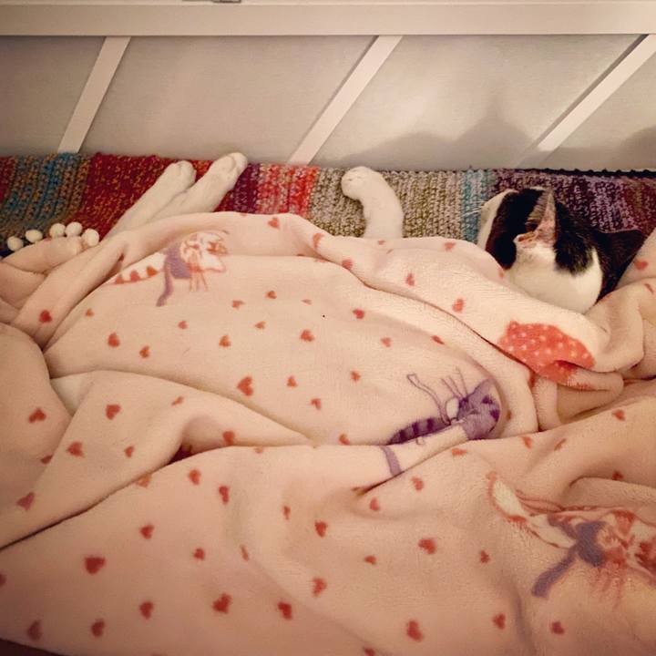 4f76fece 59de 4159 953d 1c05b4288494 1602512493662