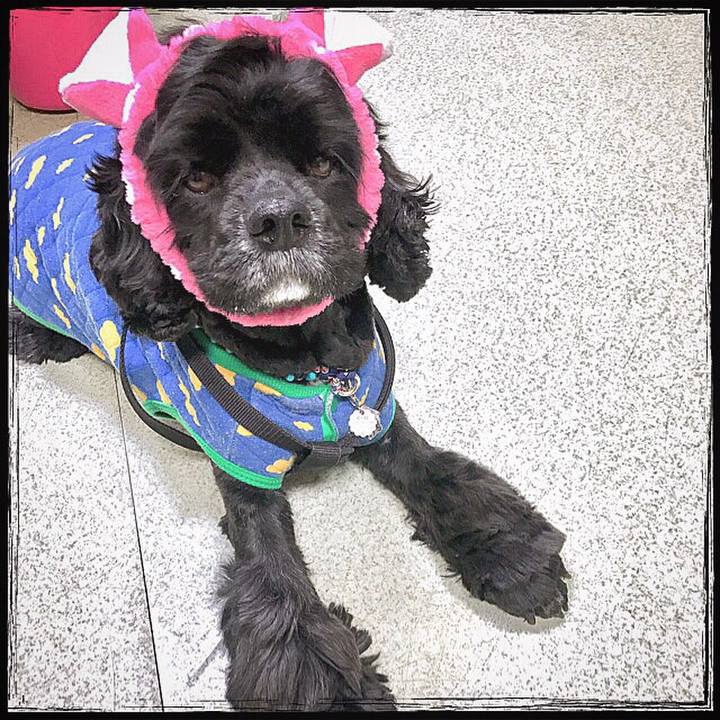 4f771a69 679b 4d0b a618 99bb08f30712 1551881159753