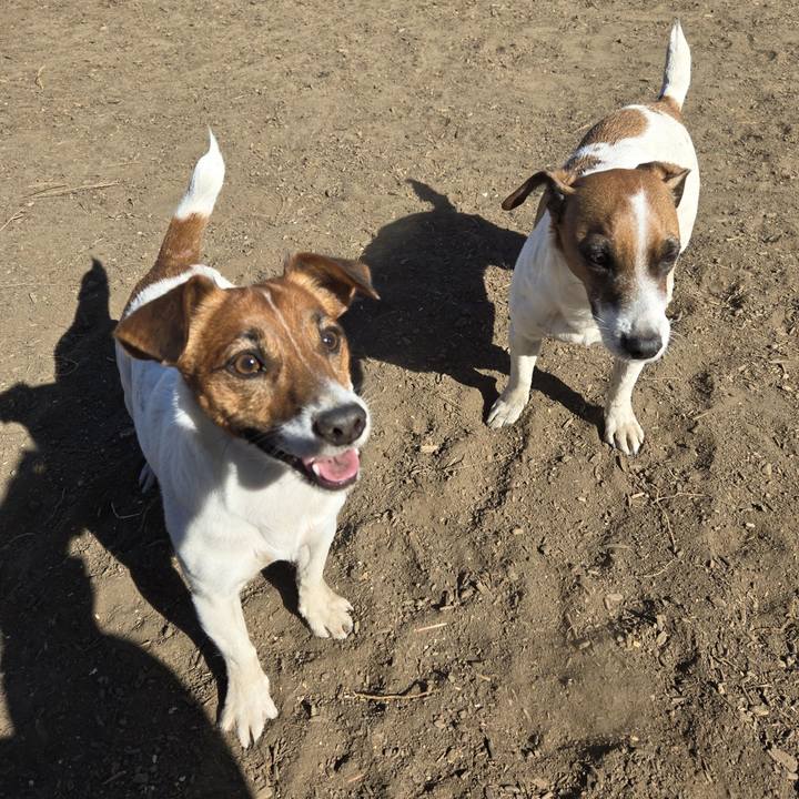 4f77b94d cf26 414e a8c6 7d82e41d1892 1769829300650