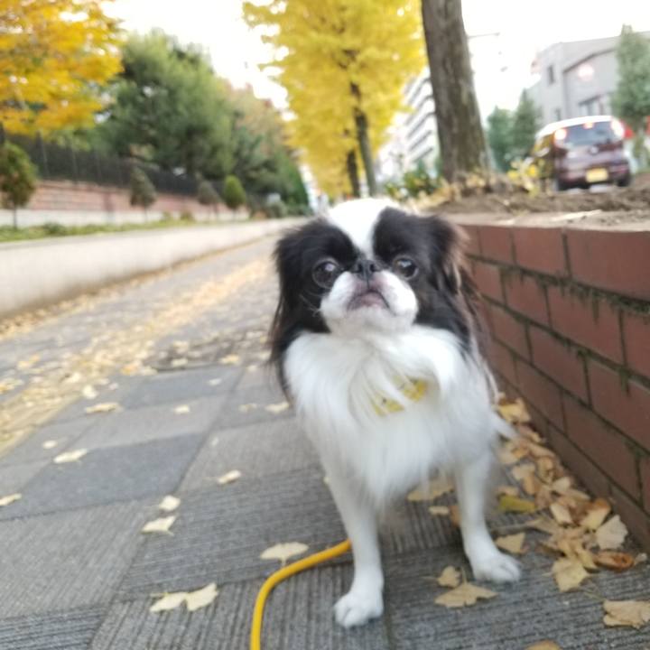 4f77c3a8 0baa 4cd1 beda 08735ecda264 1667647572067