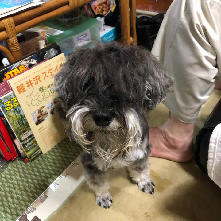 4f77d2eb f98d 410a a9dd 59d05c1c0c20 1525600287246