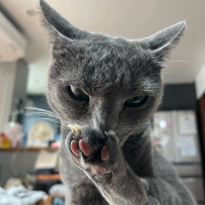 4f7819ac 36a9 4280 97eb f6401a4fe1b0 1685152623463