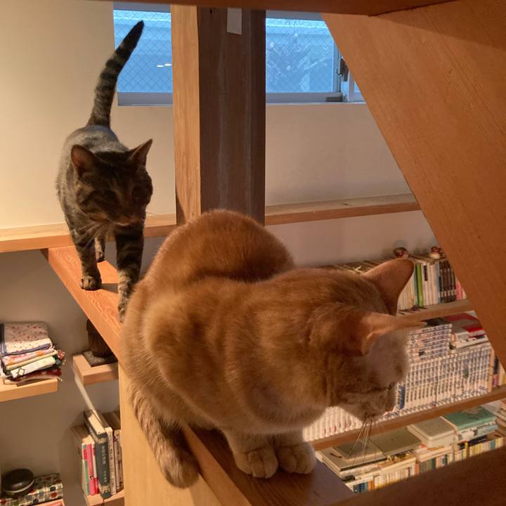 4f782b3b fa34 45e9 bdc9 802a23916007 1668604098895