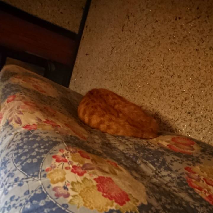 4f78881e c598 4cd9 a1bc 455f5d89381d 1600521252076