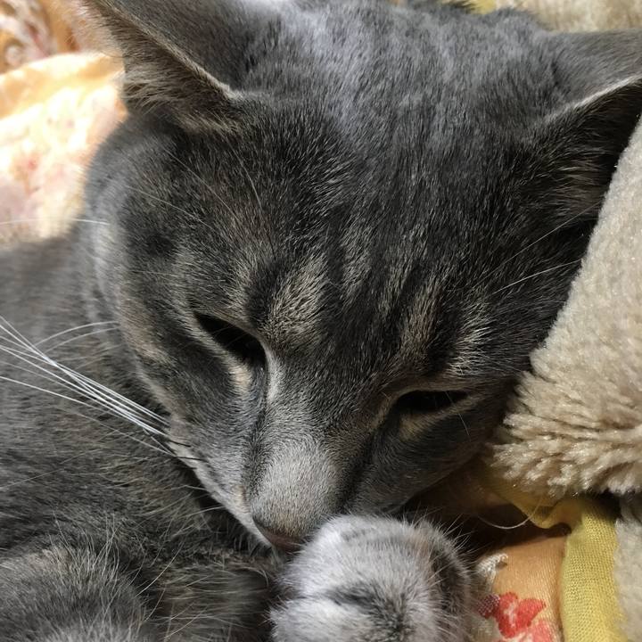 4f78ab25 4250 4713 8110 a5029c9dcd66 1559657432370