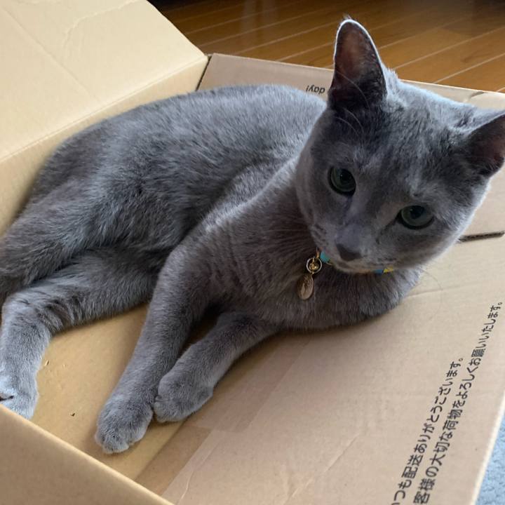 4f78ad12 0c40 4cda 9729 94ec4f03f867 1624434786548