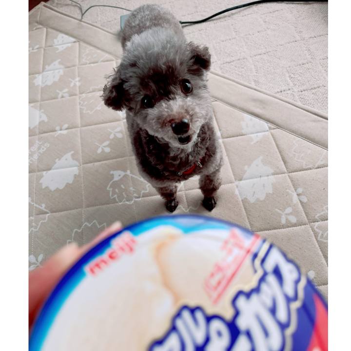 4f78da8b 3257 4c74 aac8 df0a3c860edc 1725070502875