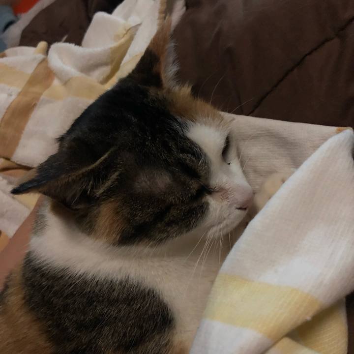 4f78ef68 a9dc 402b a5a0 5f9b9f11d24a 1581419163399