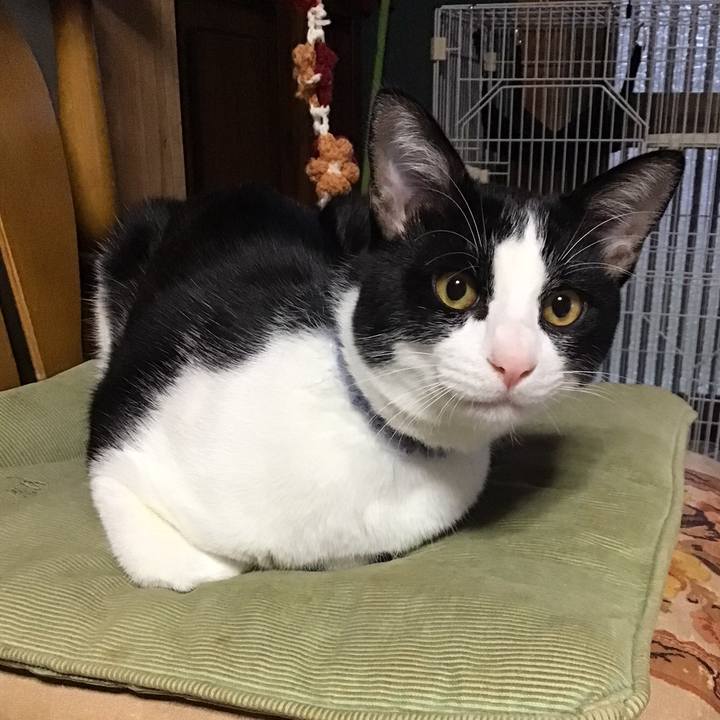 4f798d1d a536 487f be06 35973fdd1273 1669033614891