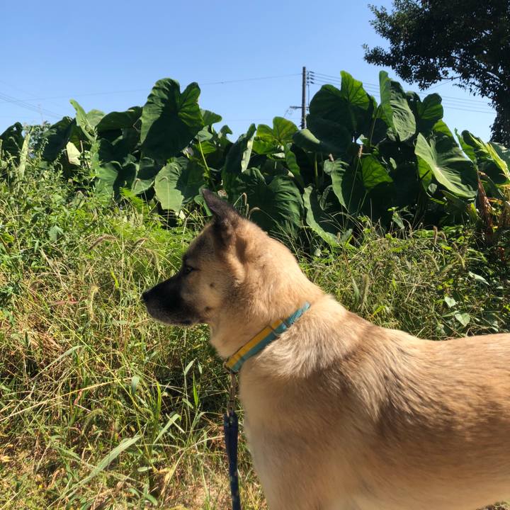 4f79c2b1 6b3f 4c9a a56b 2fb2738cee17 1633175137860