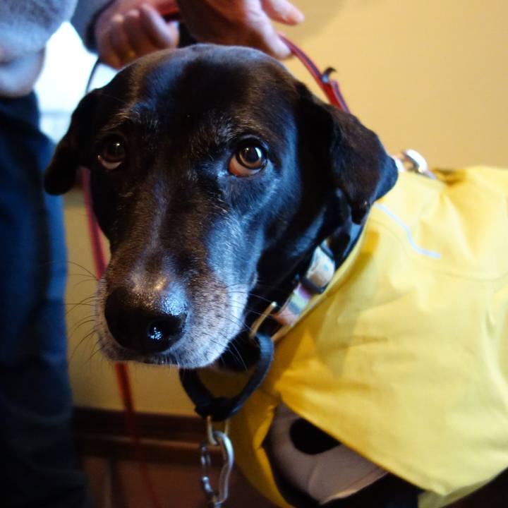 4f79f3a0 cdd9 4bdd 9d11 9236a584e3fc 1737853825498