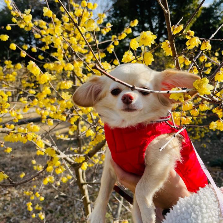 4f7a0023 1de7 4909 8c82 d0716994636f 1674393349065