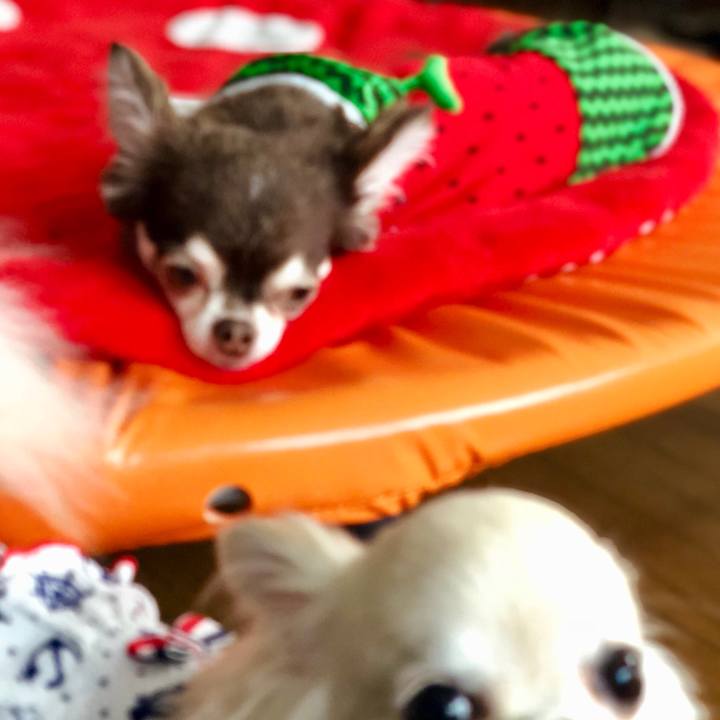 4f7a3acd c7a1 46f0 822b bec1271cd991 1534318500045