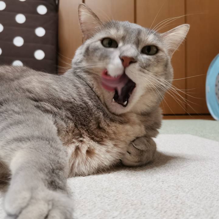 4f7a5b68 14e1 4366 b2d8 fe5e89556611 1604238937174