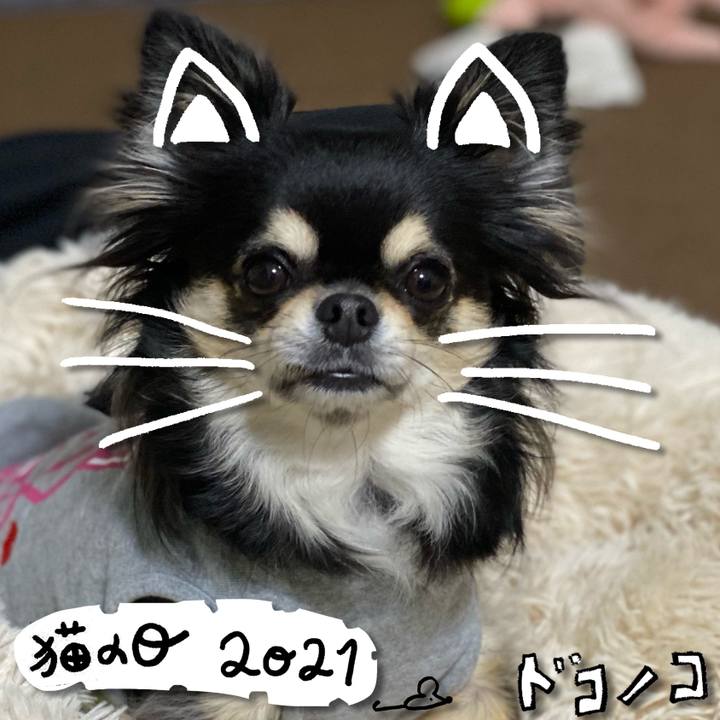 4f7a666c fa15 426f bb23 4d98a3140b45 1614033605484