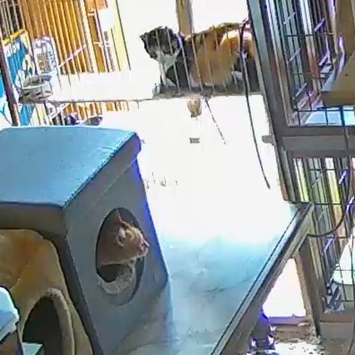 4f7a6e2e f0c3 4e10 b2e3 c80d8e339968 1761832083368